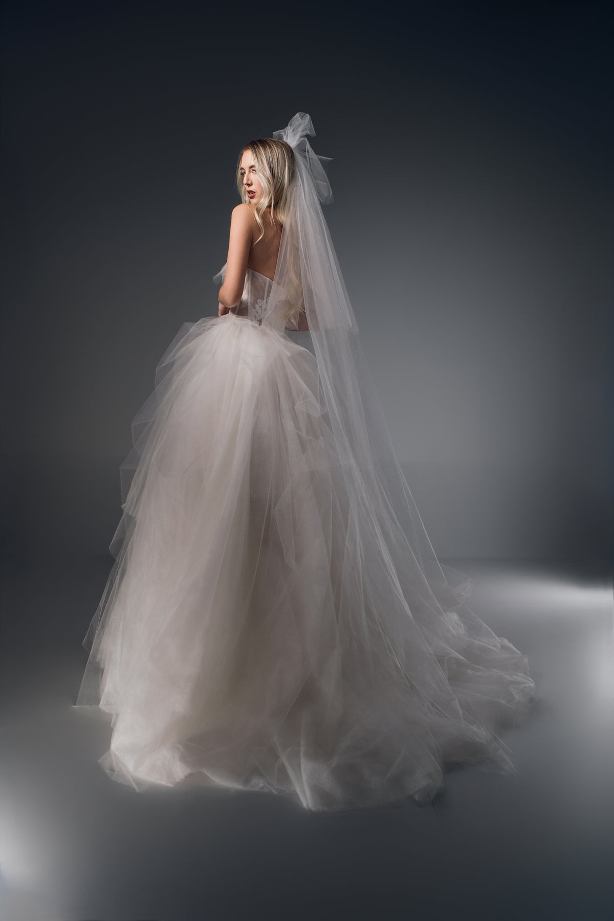 Leonora strapless lace tulle A-line wedding dress, back train view